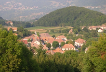 Ferme des Deytras, boeuf et veau de race Angus