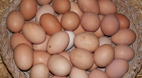 oeufs
