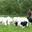 Ferme du Clos