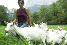 Ferme du Clos