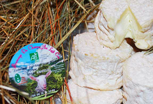 Ferme du Clos