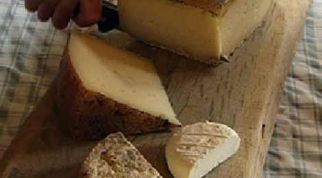 Fromage - Tomme de Sainte Luce