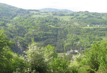 GAEC des Echaneaux 