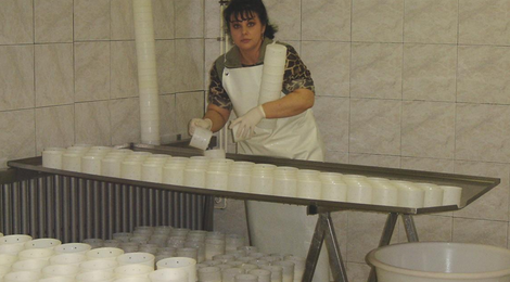 Fromages de mélange chèvres et vaches