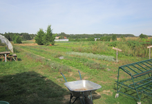 le potager de Paco