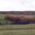 Ferme De La Combe Bernard
