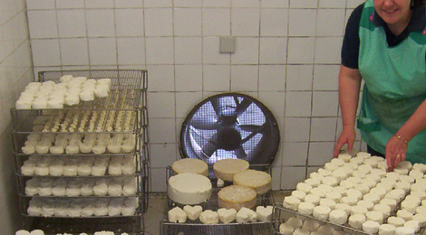 fromage de chèvre