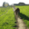 la ferme desvignes