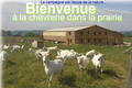 La Chevrerie Dans La Prairie