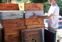 Gilles ROche, écrin de miel, apiculteur