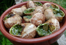 Surgelé : La Coquille Traditionnelle à la farce Bourguignonne