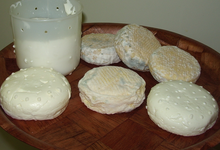 fromages lactiques