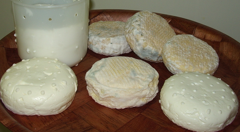 fromages lactiques