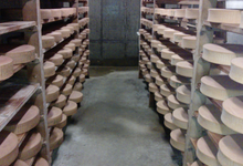 fromages