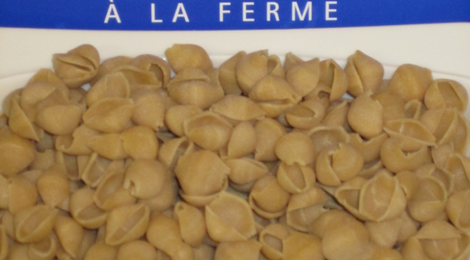Pâtes coquille