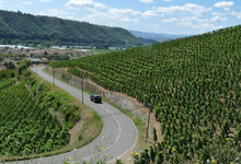 Domaine Jamet Jean Paul et Corinne