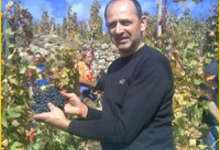 domaine Lezin, cave Lezin