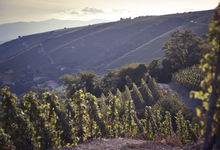  Domaine Semaska, Château de Montlys