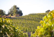  Domaine Semaska, Château de Montlys