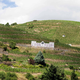 Domaine Vidal Fleury