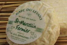 Saint marcellin fermier (80g)