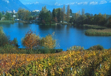Domaine Du Vieux Pressoir, domaine Perceval