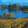 Domaine Du Vieux Pressoir, domaine Perceval