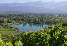 domaine adrien dacquin