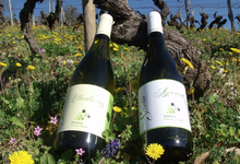 domaine adrien dacquin