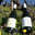 domaine adrien dacquin