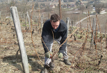 domaine adrien dacquin