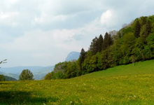gaec du moulin neuf