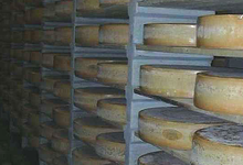 gruyère