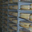 gruyère
