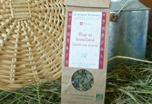  Tisane bise et brouillard 