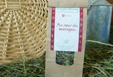  Tisane au coeur des montagnes 
