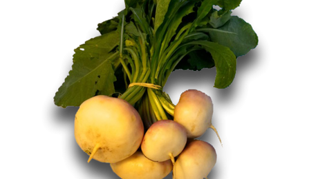 Navet nouveau bio