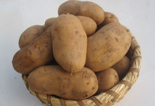  Pommes De Terre Grosses