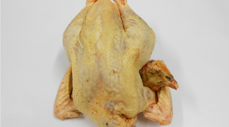 Poulet