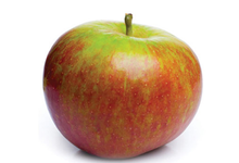  Cox Orange