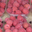 Les framboises