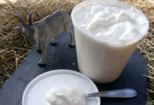  Fromage Blanc de chèvre