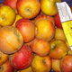 Pommes reine des reinettes - sachet de 2kg / Pommes BIO