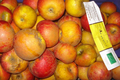 Pommes reine des reinettes - sachet de 2kg / Pommes BIO