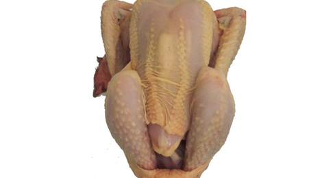 Poulet biologique prêt a cuire / poulet BIO