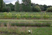 L'herbier De St Fiacre, Le Jardin Des Sens