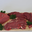 Colis Dégustation 2 kg : 1 rosbeef + 10 steaks