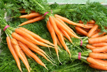 carottes botte BIO