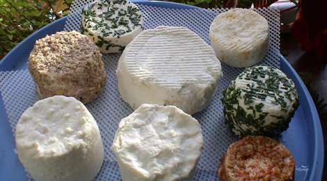 Fromages de chèvre de la chèvrerie d'Artémis
