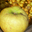 Pommes Belchard Chanteclerc